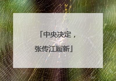 中央决定，张传江履新