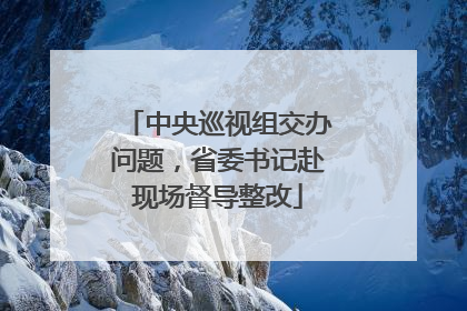 中央巡视组交办问题，省委书记赴现场督导整改