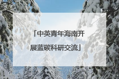 中英青年海南开展蓝碳科研交流