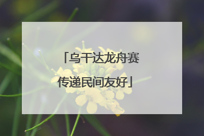 乌干达龙舟赛传递民间友好