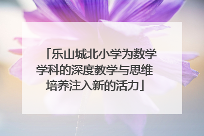 乐山城北小学为数学学科的深度教学与思维培养注入新的活力