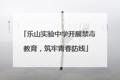 乐山实验中学开展禁毒教育，筑牢青春防线