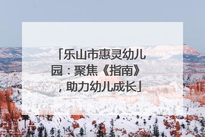 乐山市惠灵幼儿园：聚焦《指南》，助力幼儿成长