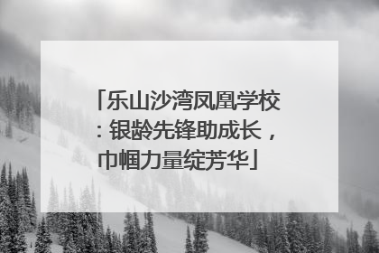 乐山沙湾凤凰学校：银龄先锋助成长，巾帼力量绽芳华