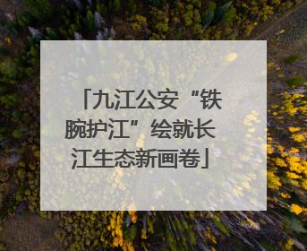 九江公安“铁腕护江”绘就长江生态新画卷