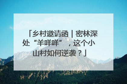 乡村邀请函｜密林深处“羊咩咩”，这个小山村如何逆袭？