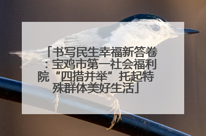 书写民生幸福新答卷：宝鸡市第一社会福利院“四措并举”托起特殊群体美好生活