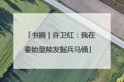 书摘｜许卫红：我在秦始皇陵发掘兵马俑