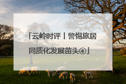 云岭时评丨警惕旅居同质化发展苗头④