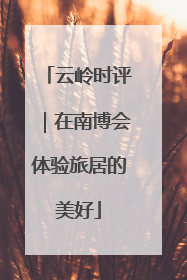云岭时评｜在南博会体验旅居的美好