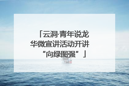 云洞·青年说龙华微宣讲活动开讲“向绿图强”