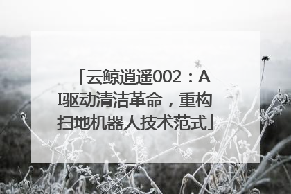云鲸逍遥002：AI驱动清洁革命，重构扫地机器人技术范式