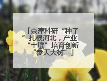 京津科研“种子”扎根河北，产业“土壤”培育创新“参天大树”