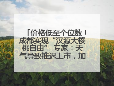 价格低至个位数！成都实现“汉源大樱桃自由” 专家：天气导致推迟上市，加之产量大