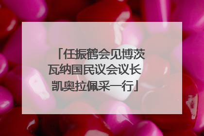 任振鹤会见博茨瓦纳国民议会议长凯奥拉佩采一行