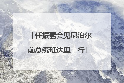 任振鹤会见尼泊尔前总统班达里一行