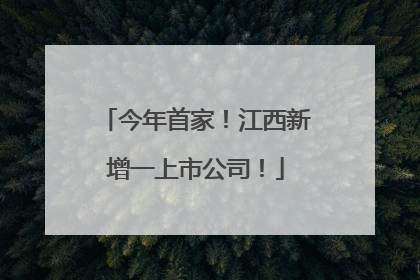 今年首家！江西新增一上市公司！