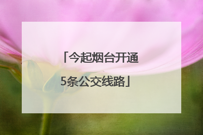今起烟台开通5条公交线路
