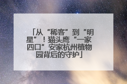 从“稀客”到“明星”！猫头鹰“一家四口”安家杭州植物园背后的守护