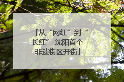从“网红”到“长红” 沈阳首个非遗街区开街