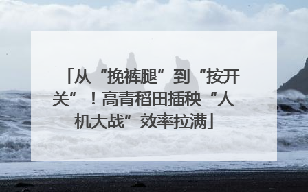 从“挽裤腿”到“按开关”！高青稻田插秧“人机大战”效率拉满