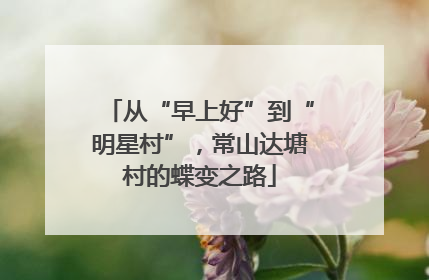 从“早上好”到“明星村”，常山达塘村的蝶变之路