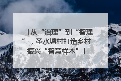 从“治理”到“智理”，圣水塘村打造乡村振兴“智慧样本”