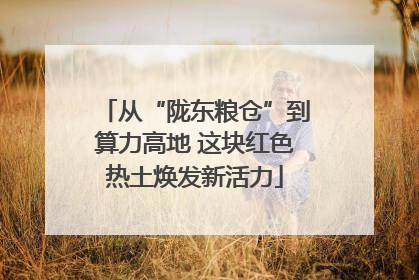 从“陇东粮仓”到算力高地 这块红色热土焕发新活力