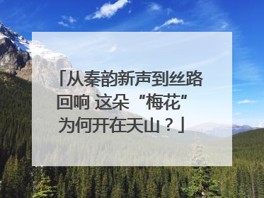从秦韵新声到丝路回响 这朵“梅花”为何开在天山？