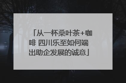 从一杯桑叶茶+咖啡 四川乐至如何端出助企发展的诚意