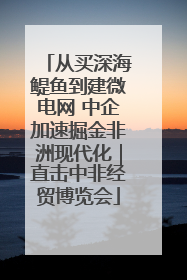 从买深海鳀鱼到建微电网 中企加速掘金非洲现代化｜直击中非经贸博览会