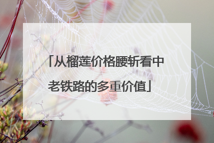 从榴莲价格腰斩看中老铁路的多重价值