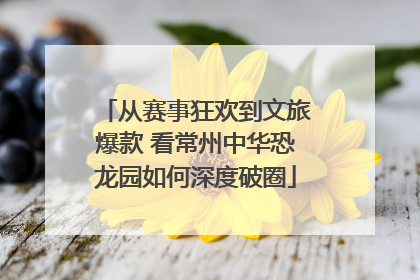 从赛事狂欢到文旅爆款 看常州中华恐龙园如何深度破圈