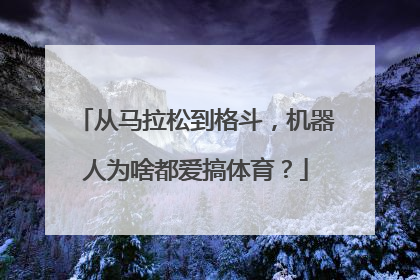 从马拉松到格斗，机器人为啥都爱搞体育？