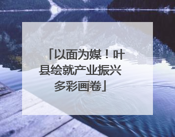 以面为媒！叶县绘就产业振兴多彩画卷