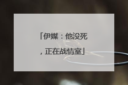 伊媒：他没死，正在战情室