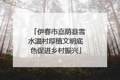 伊春市嘉荫县雪水温村厚植文明底色促进乡村振兴