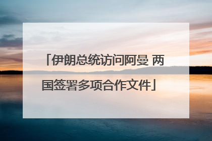 伊朗总统访问阿曼 两国签署多项合作文件