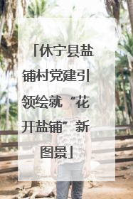 休宁县盐铺村党建引领绘就“花开盐铺”新图景