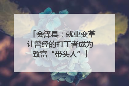 会泽县：就业变革让曾经的打工者成为致富“带头人”