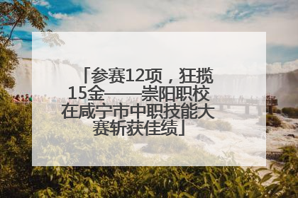 参赛12项，狂揽15金——崇阳职校在咸宁市中职技能大赛斩获佳绩