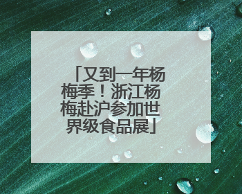又到一年杨梅季！浙江杨梅赴沪参加世界级食品展