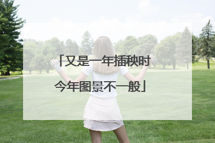 又是一年插秧时 今年图景不一般