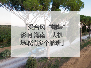 受台风“蝴蝶”影响 海南三大机场取消多个航班