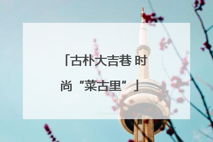 古朴大吉巷 时尚“菜古里”