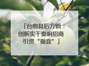 台前县后方镇：创新实干奏响招商引资“强音”