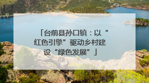 台前县孙口镇：以“红色引擎”驱动乡村建设“绿色发展”