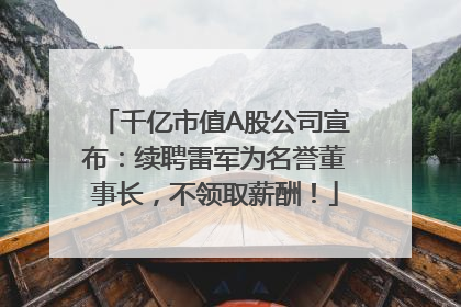 千亿市值A股公司宣布：续聘雷军为名誉董事长，不领取薪酬！