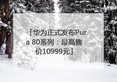 华为正式发布Pura 80系列：最高售价10999元