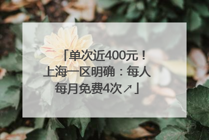 单次近400元！上海一区明确：每人每月免费4次↗